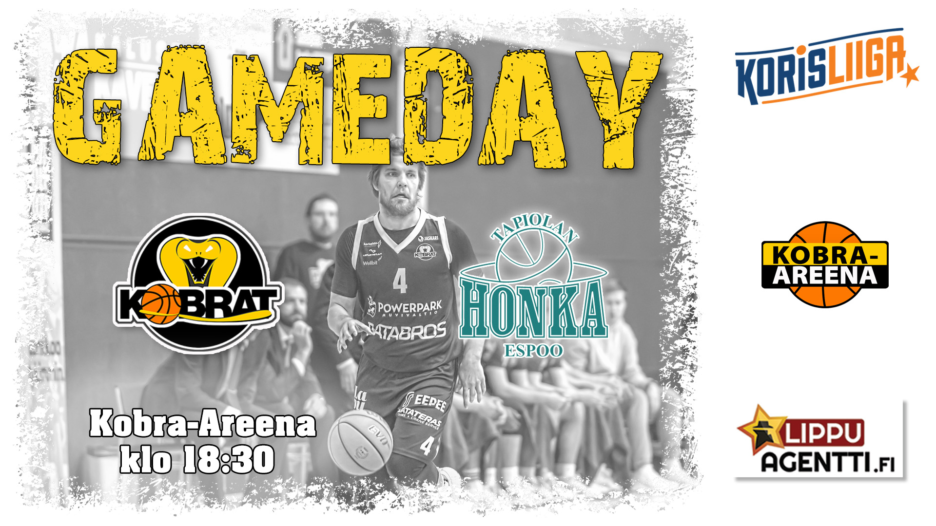 2025 Gameday Honka syys